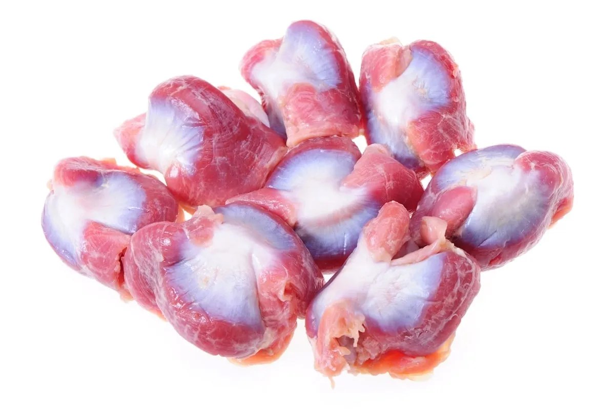 Turkey Gizzards