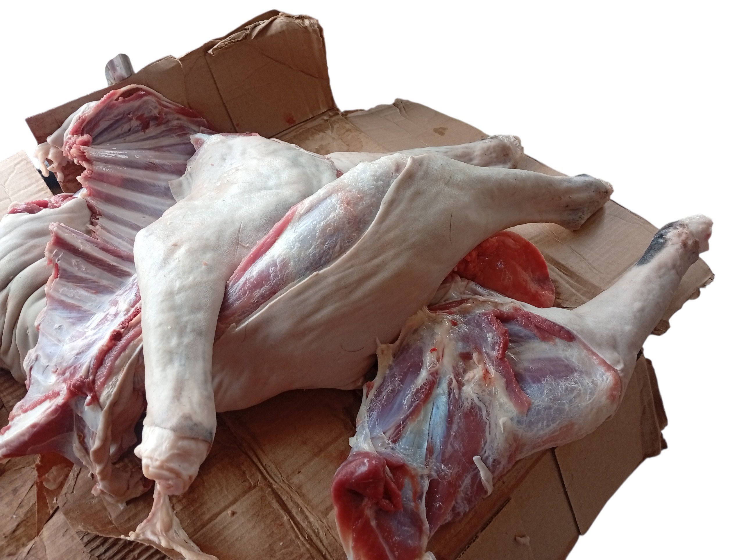 Goat Meat