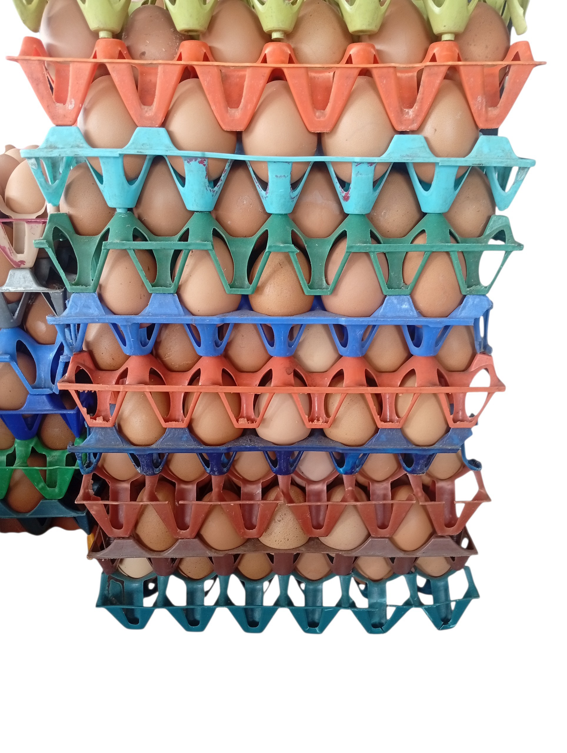 Eggs