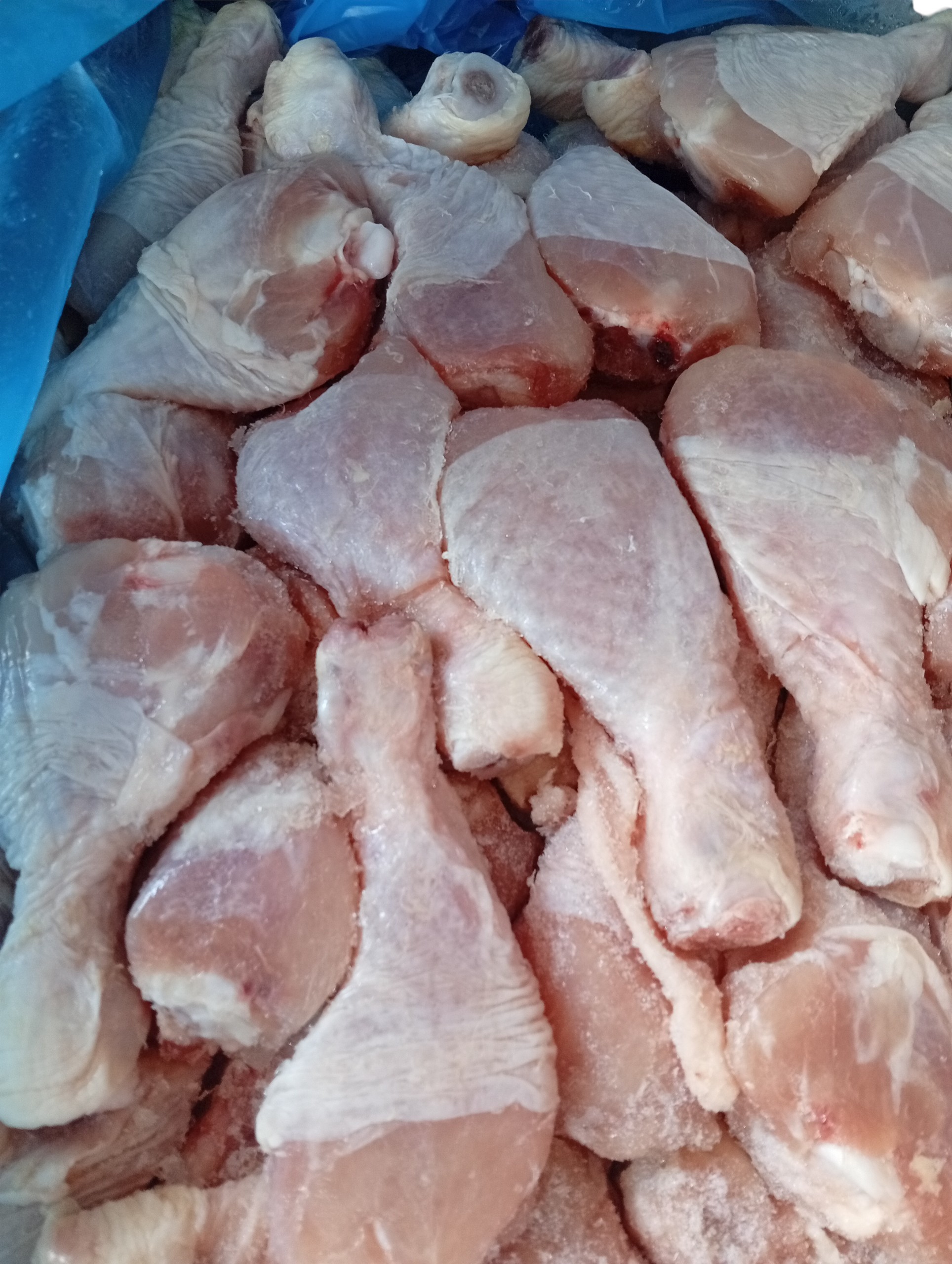Chicken Drumsticks